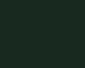Fir green - RAL 6009 (43)