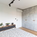 Web1.jpg
